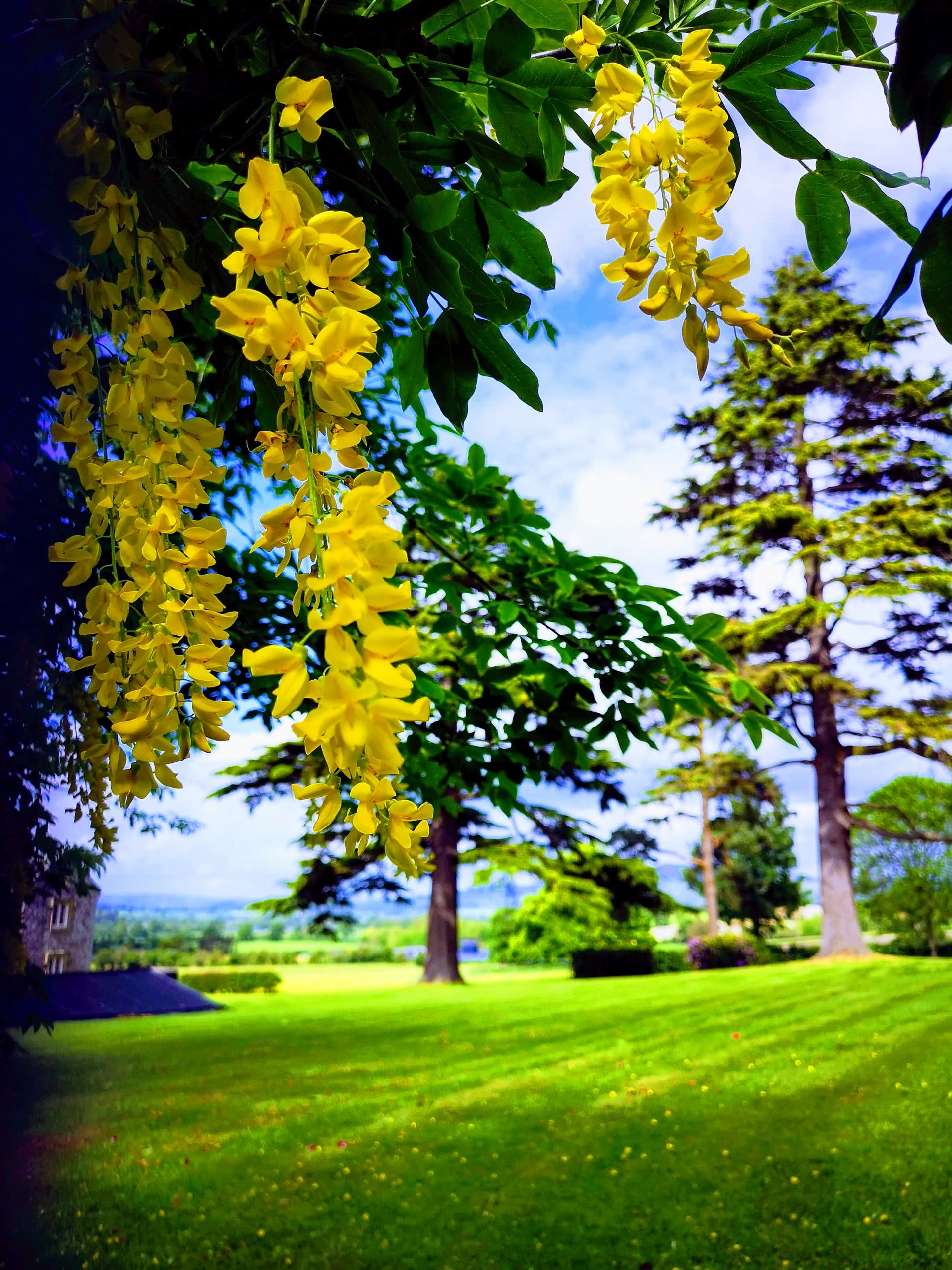 Pentrenant Hall - IMG 20190527 154459 EFFECTS